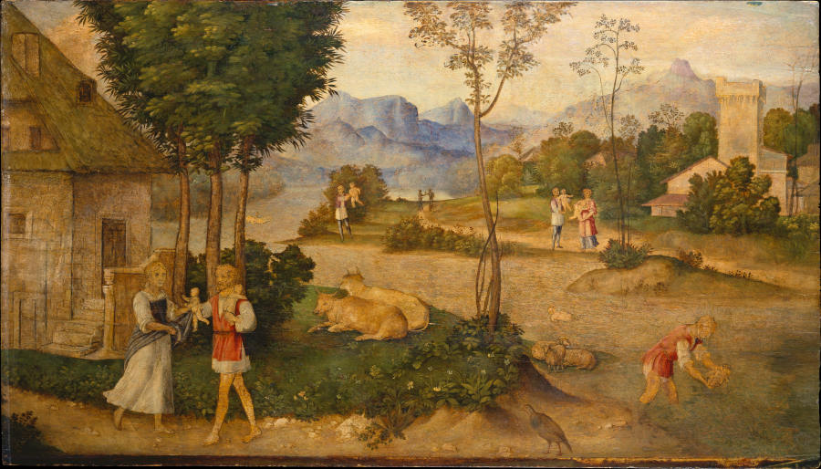 The Finding of Romulus and Remus de Giorgione