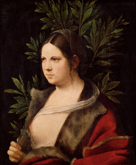 Young Woman ("Laura") de Giorgione