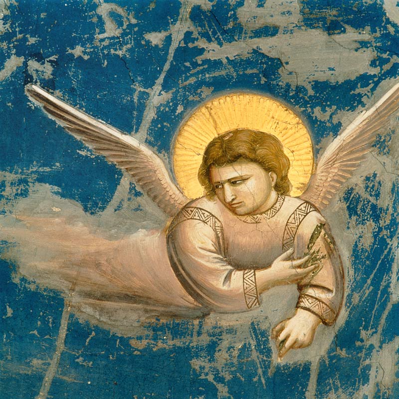 Giotto /Flight to Egypt, Angel/ C14th de Giotto (di Bondone)