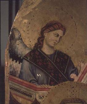Angel from Madonna and Child Enthroned (detail of 66535)  (altarpiece)