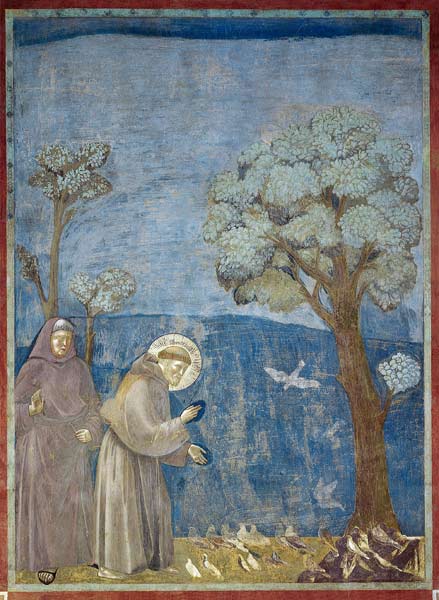 St. Francis Preaching to the Birds de Giotto (di Bondone)