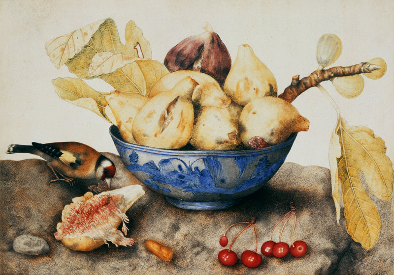 G.Garzoni / Bowl with Figs / c.1650 de Giovanna Garzoni