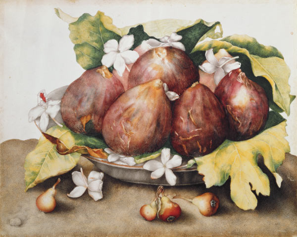 Figs on Leaves de Giovanna Garzoni