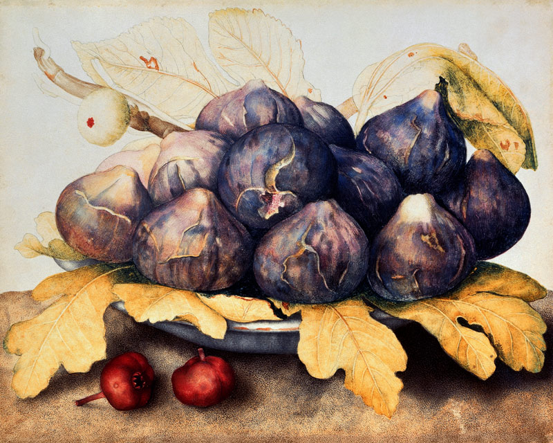 Figs de Giovanna Garzoni