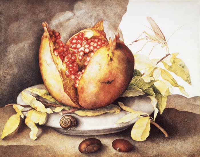 Pomegranate with Chestnuts de Giovanna Garzoni