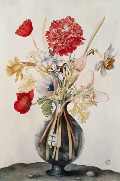 Vase of Flowers with Daffodils, Carnations and Anemones de Giovanna Garzoni