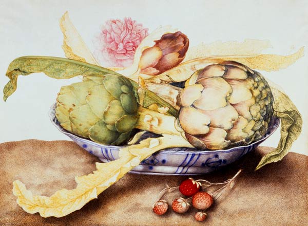 G.Garzoni / Bowl of Artichokes / c.1650 de Giovanna Garzoni