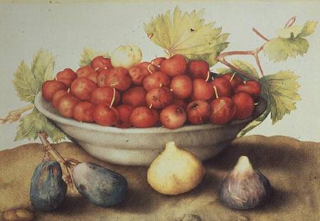 A Bowl of Cherries and Figs de Giovanna Garzoni