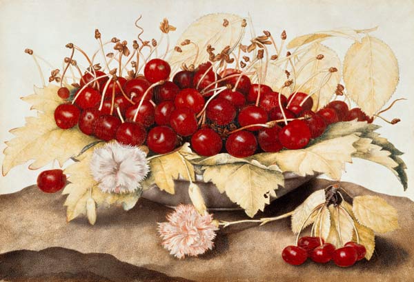G.Garzoni / Cherries and carnations. de Giovanna Garzoni