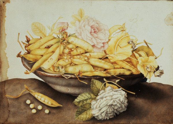 G.Garzoni / Bowl with Pea-Pods / c.1650 de Giovanna Garzoni