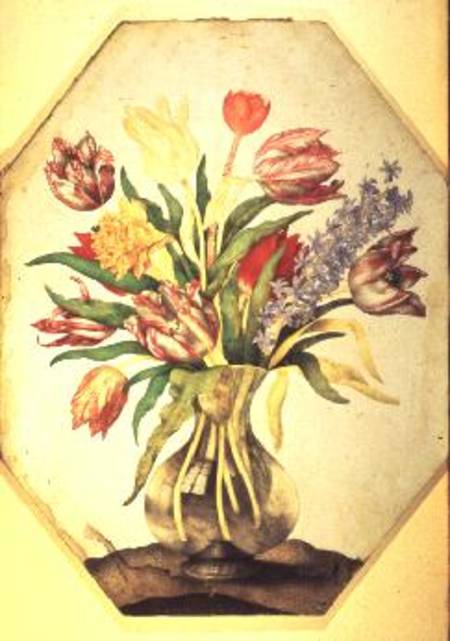 Glass Vase of Tulips with a Hyacinth de Giovanna Garzoni
