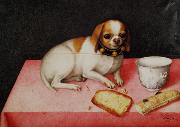 G.Garzoni, little dog w.scraps of bread de Giovanna Garzoni