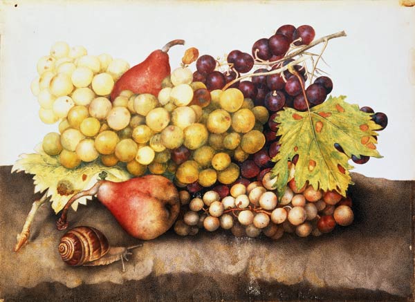 G.Garzoni / Still life with grapes. de Giovanna Garzoni