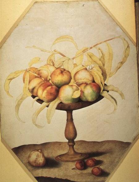 Wooden Fruit Bowl of Apples de Giovanna Garzoni