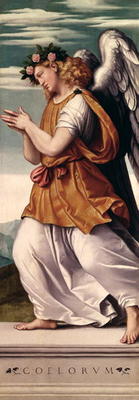 An Angel (panel) de Giovanni Battista Moroni