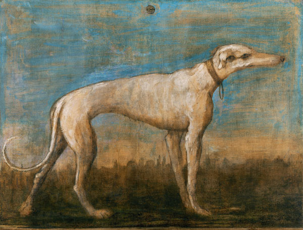 G.B.Tiepolo / Greyhound / Paint./ C18th de Giovanni Battista Tiepolo