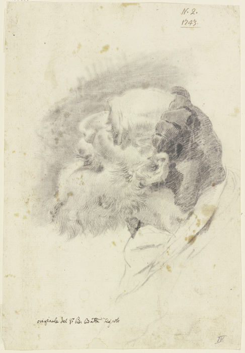 Studienkopf eines nach links oben blickenden Mannes de Giovanni Battista Tiepolo