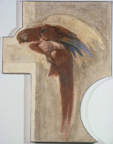 G.D.Tiepolo / Parrot / Fresco de Giovanni Domenico Tiepolo