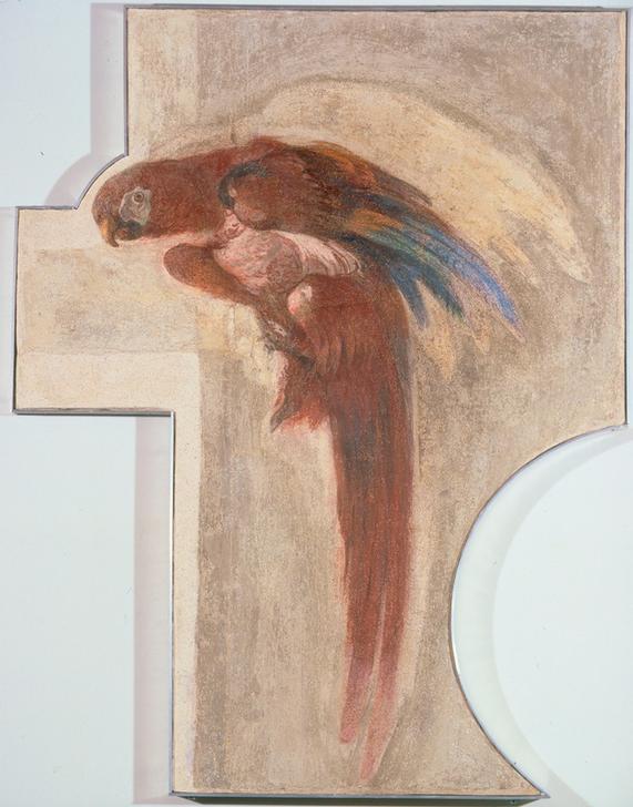 Parrot de Giovanni Domenico Tiepolo