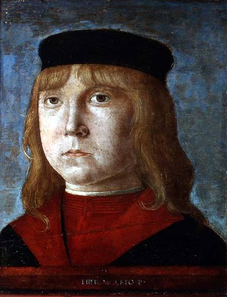 Portrait of a Boy de Girolamo Mocetto