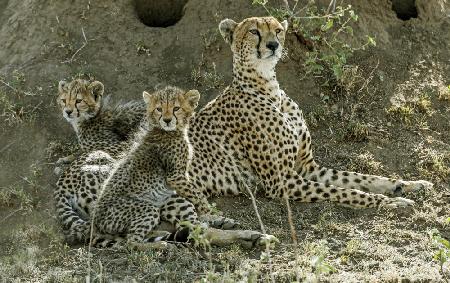 Family on alert