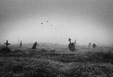 Antico cimitero abbandonato