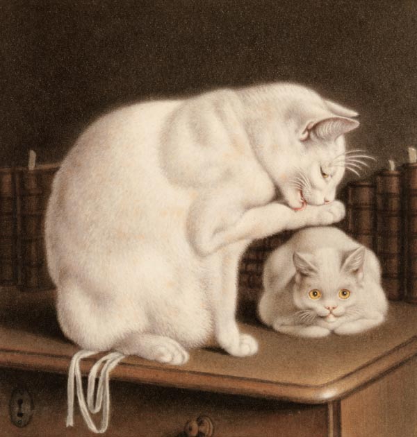 Two white cats on a table with books de Gottfried Mind