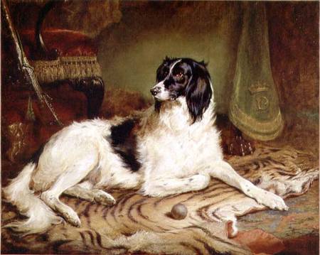 'Minna', a favourite dog of James, Marquess of Dalhousie de Gourlay Steell