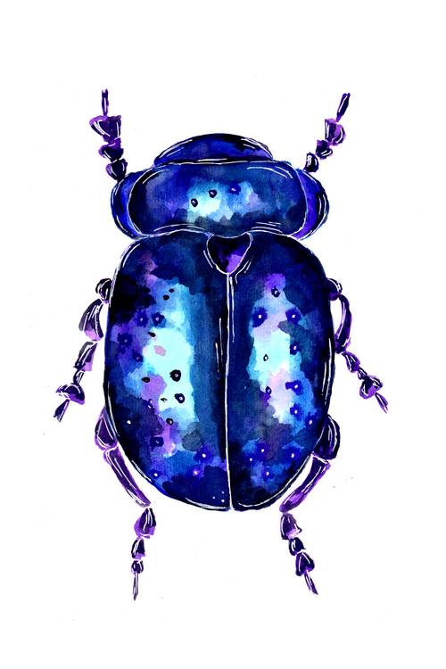 Blue and Purple colored Leaf Beetle de Sebastian  Grafmann