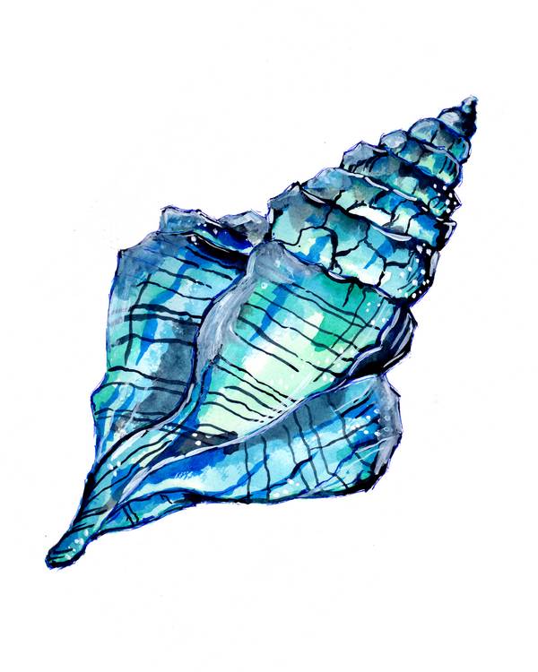 Blue Conch Seashell de Sebastian  Grafmann