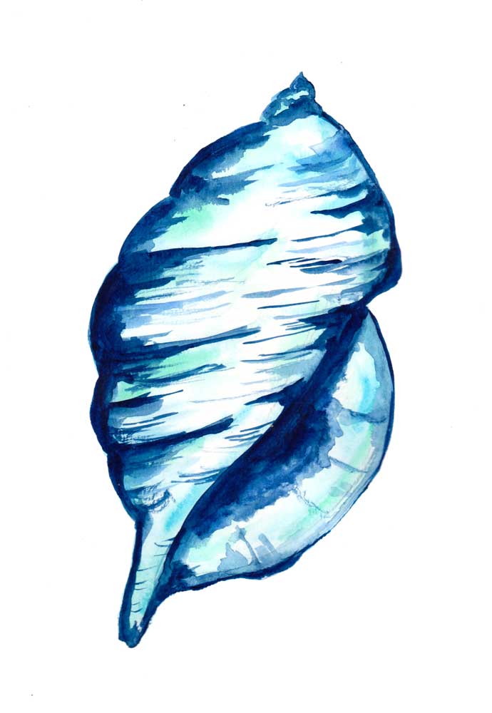 Blue Seashell de Sebastian  Grafmann
