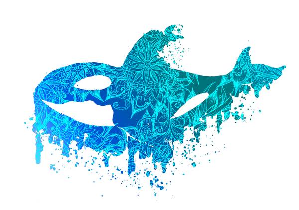 Blue Floral Orca Killerwhale de Sebastian  Grafmann