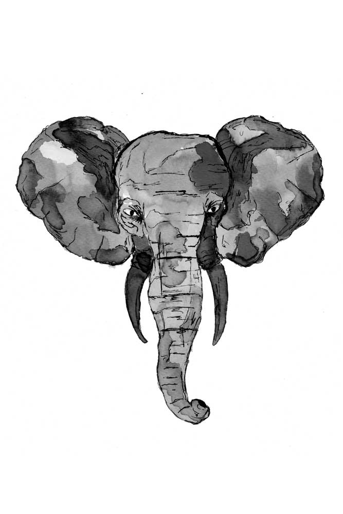 Grey African Elephant Head de Sebastian  Grafmann