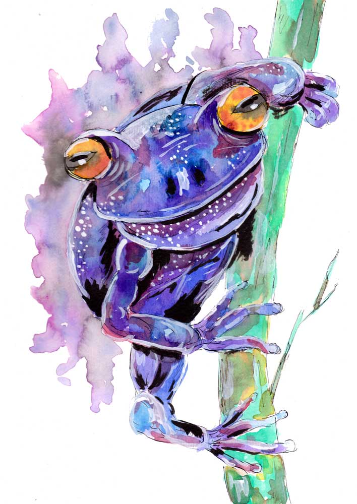 Purple Frog de Sebastian  Grafmann