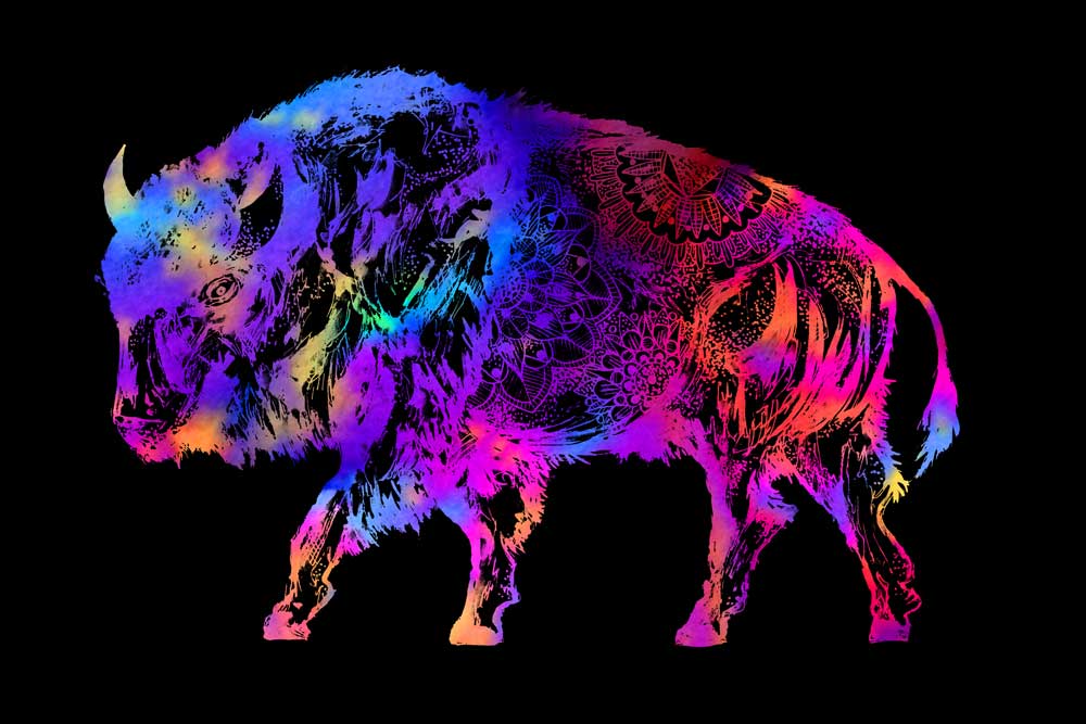 Rainbow Buffalo de Sebastian  Grafmann
