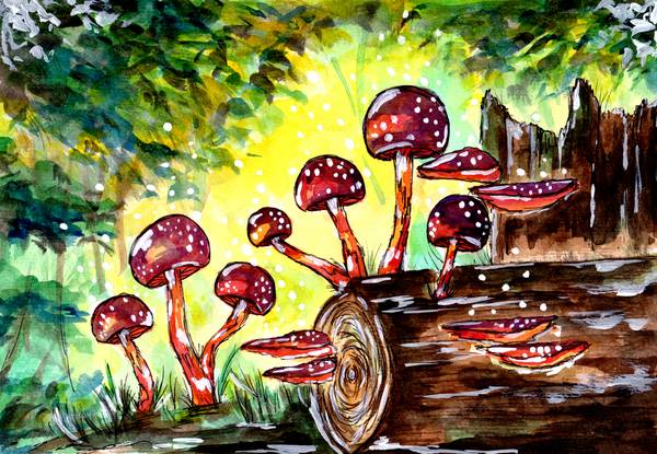 Red Mushrooms in the Forest de Sebastian  Grafmann