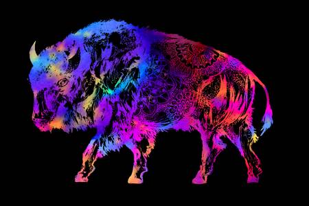 Rainbow Buffalo on Black