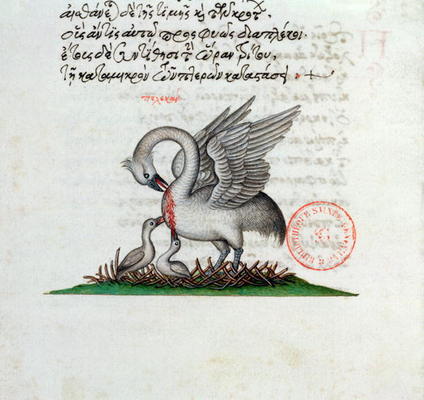 Ms 3401 A Pelican Piercing its Breast to Feed its Young, from a Bestiary by Manuel Philes, 1566 (vel de Greek School, (16th century)