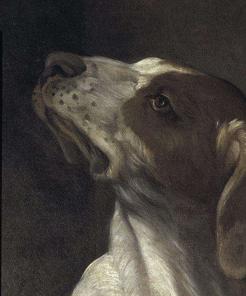 Reni / St.Roche / Detail: dog / c.1617 de Guido Reni