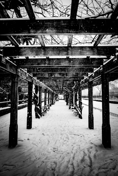 Central Park Winter de Guilherme Pontes