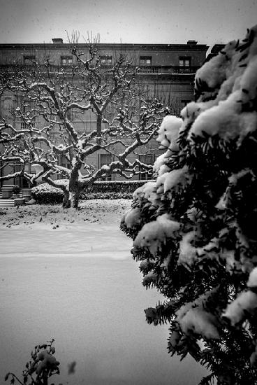 Frick Collection Winter N¬∫1