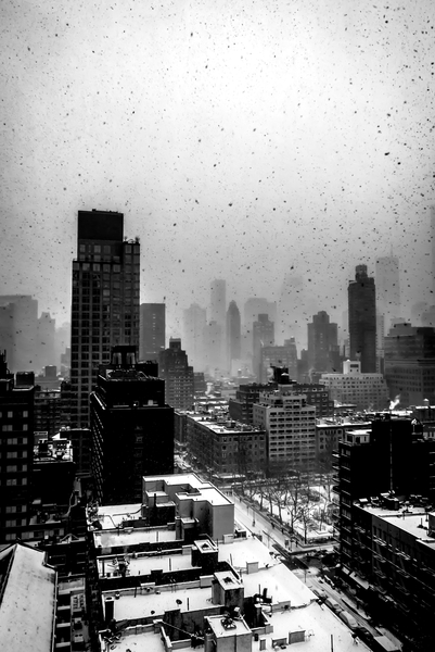 Heavy New York Snow de Guilherme Pontes