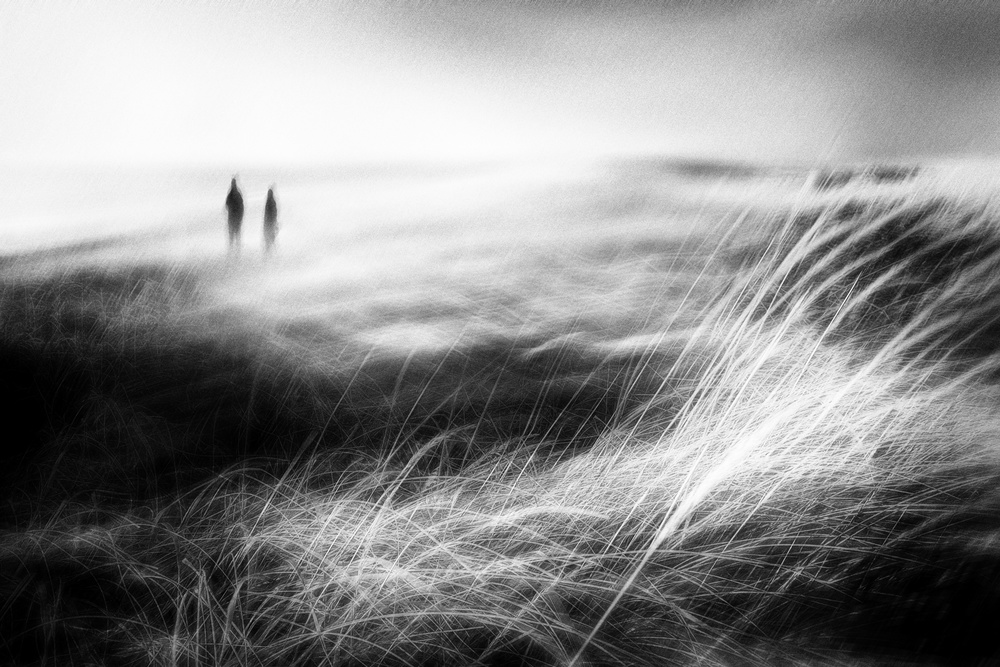 We Walk Alone de Gustav Davidsson