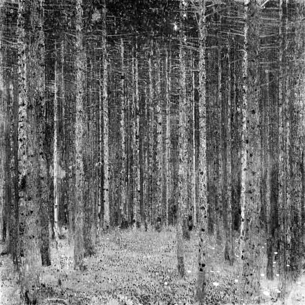 Fir Forest I de Gustav Klimt