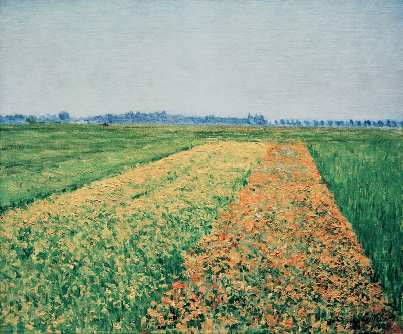 Fields at Gennevilliers de Gustave Caillebotte