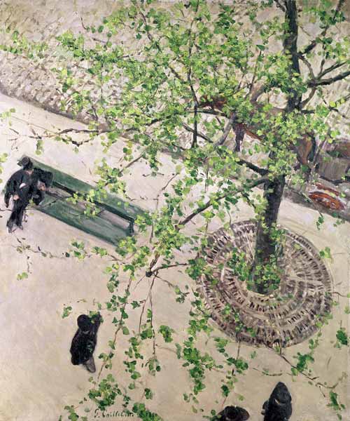 The Boulevard Viewed from Above de Gustave Caillebotte