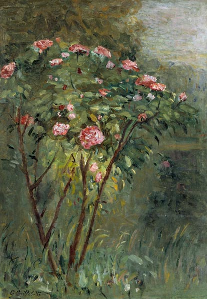 Le Rosier, c.1884-86. de Gustave Caillebotte