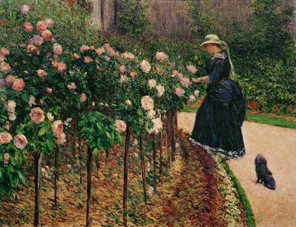 Roses in the Garden at Petit Gennevilliers de Gustave Caillebotte