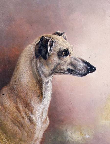 Head of a Greyhound (panel) de H. Morley Park