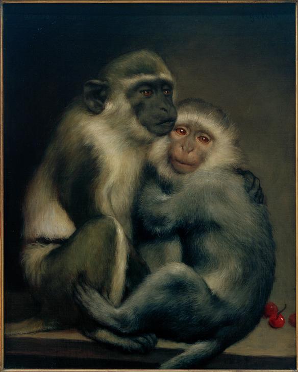 Abelard und Héloise de Haeckel Ernst